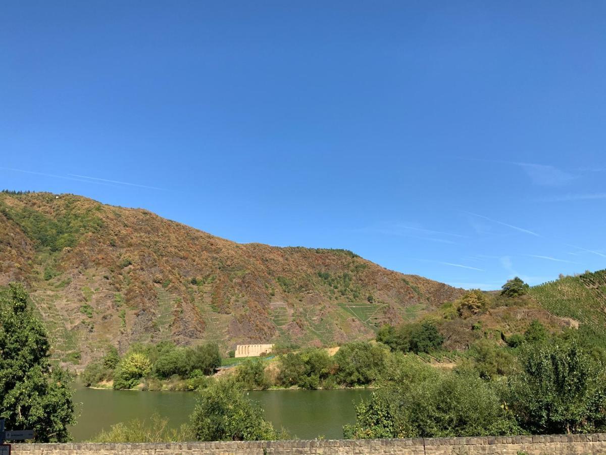 Ferienhaus Mosel 2.0 ブレム エクステリア 写真